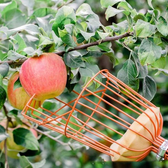 Fruitplukker met Mand - Oogststok - Fruit Plukken - Uitschuifbaar Handvat - 4 Meter Lengte - Zilver — afbeelding 4