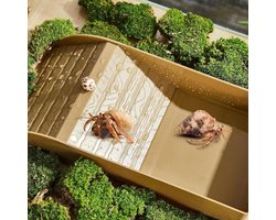 Waterbekken voor schildpadden met klimhelling en reptielenbad accessoires
