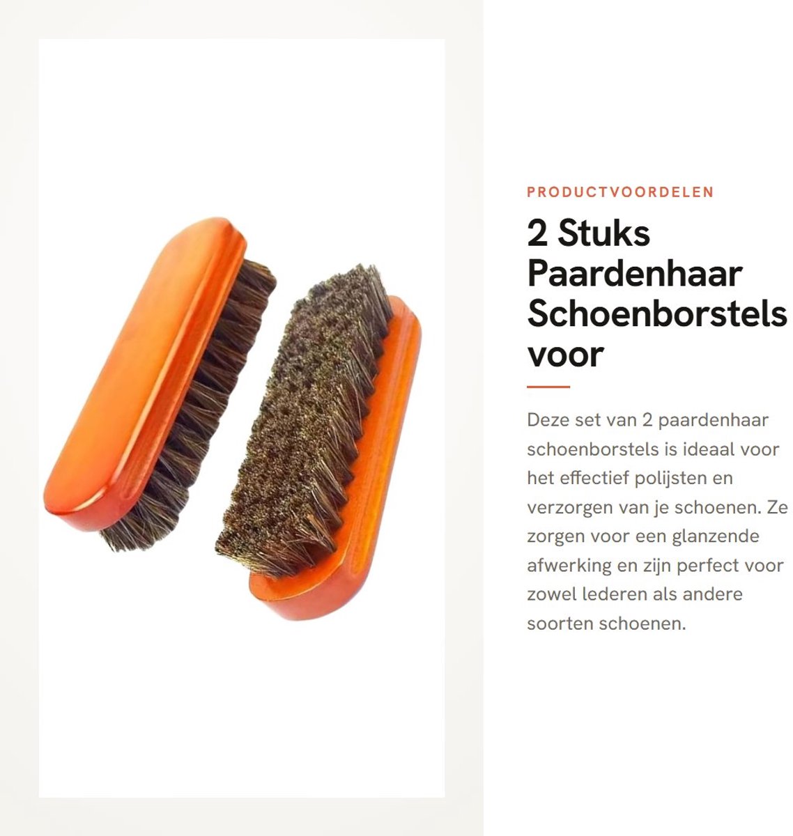 Dailygoods- Schoenborstel Paardenhaar - Schoenpoetsset - Polijstborstel - Professionele Schoenverzorging - 2 Stuks - Hout, 13 x 4 cm