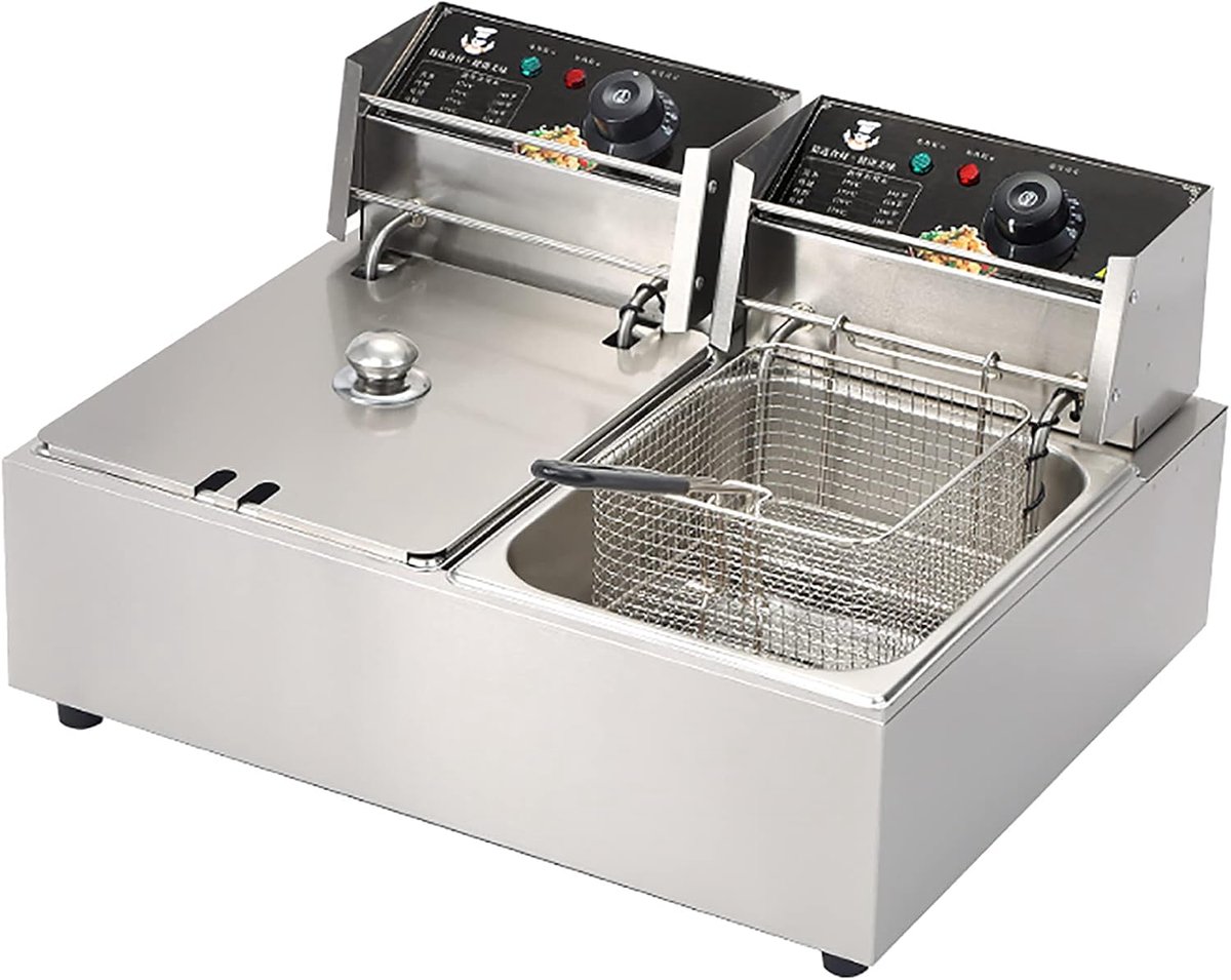 Elektrische Friteuse met Mand Thuis Frituren Instelbare Temperatuur 10L of 20L Zilver