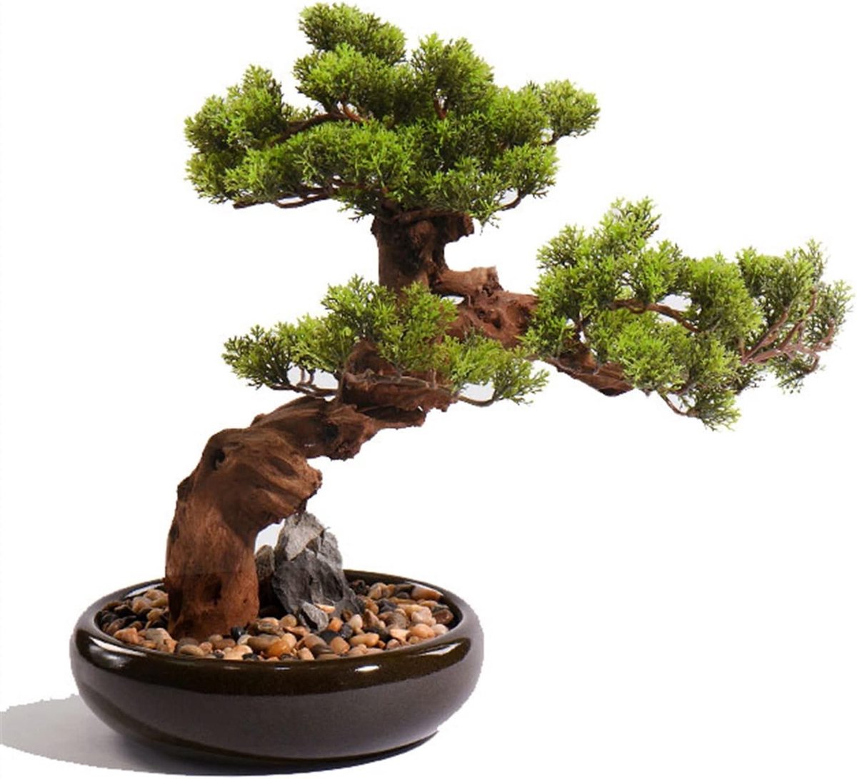 Kunst Bonsaiboom - Nep Plant Pot - Binnenhuisdecoratie - Realistisch uiterlijk - 60x25x72 cm - One Color