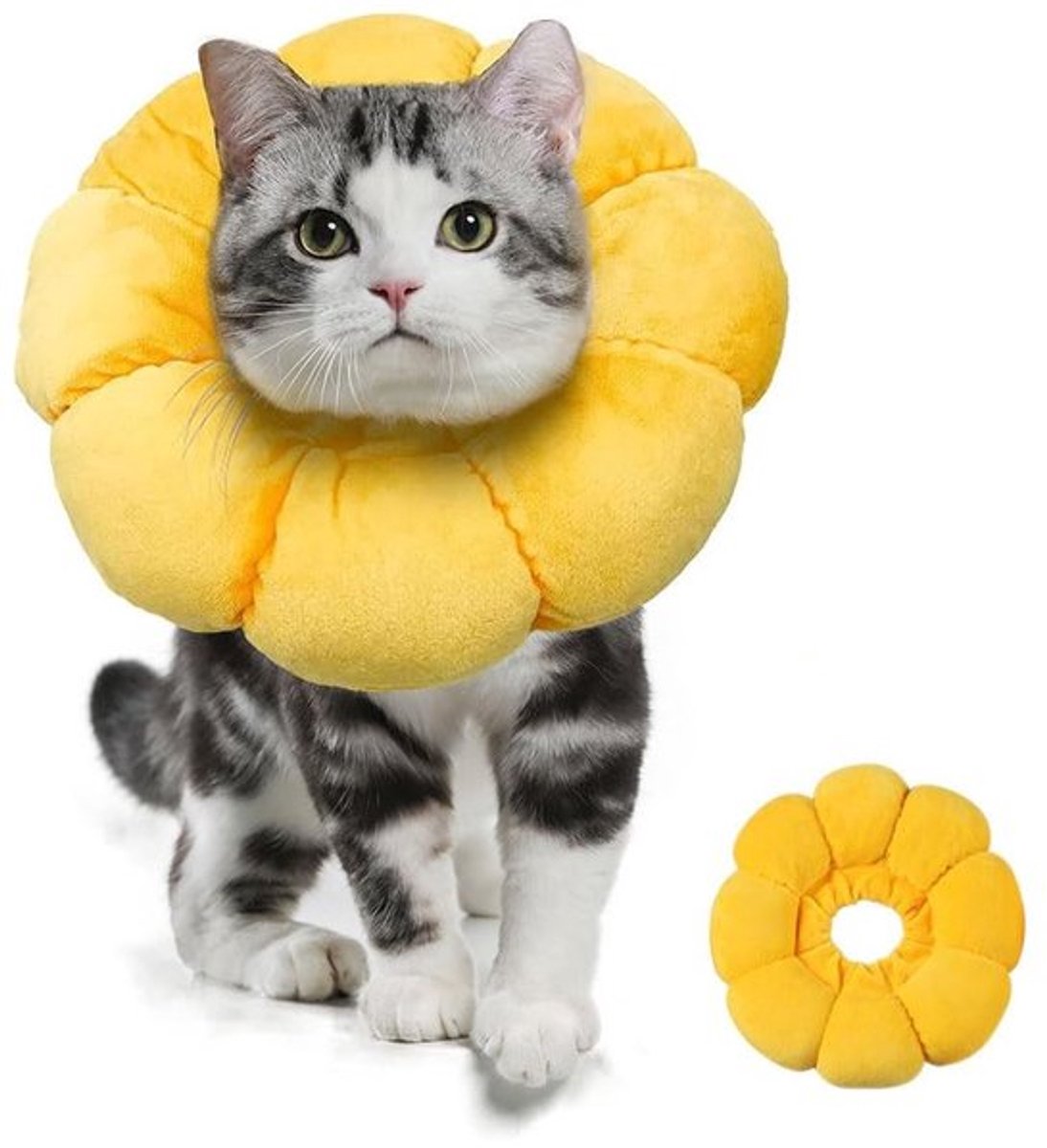 Jhubersproducts - Kattenhalsband - Herstelhalsband - Verstelbare beschermkraag