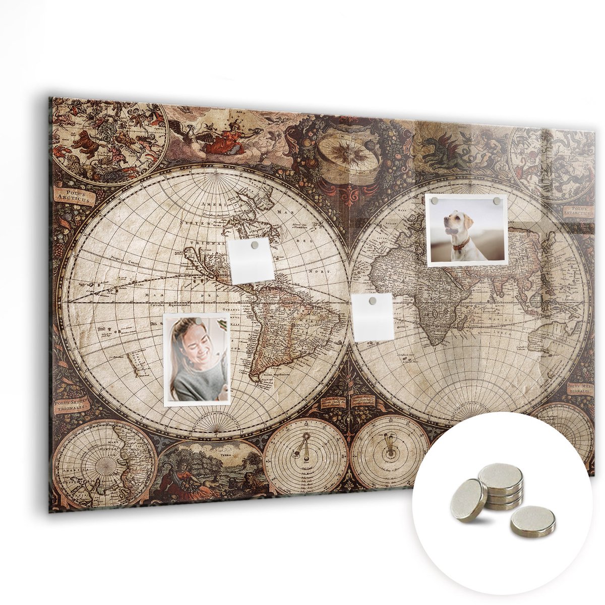Coloray Glazen Magneetbord - Magnetisch Bord Onderwaterleven - 90x60 cm - Bruin Magneetbord - Magnetic Board - Memobord