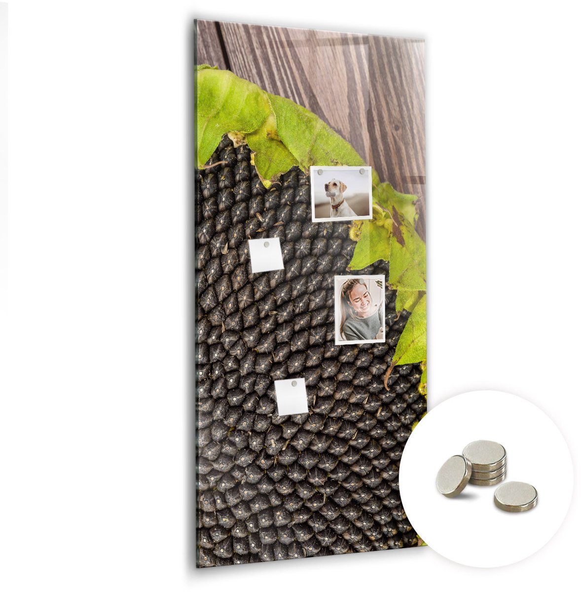 Coloray Glazen Magneetbord - Magnetisch Bord Verse avocado - 60x120 cm - Bruin Magneetbord - Magnetic Board - Keuken Decoratie