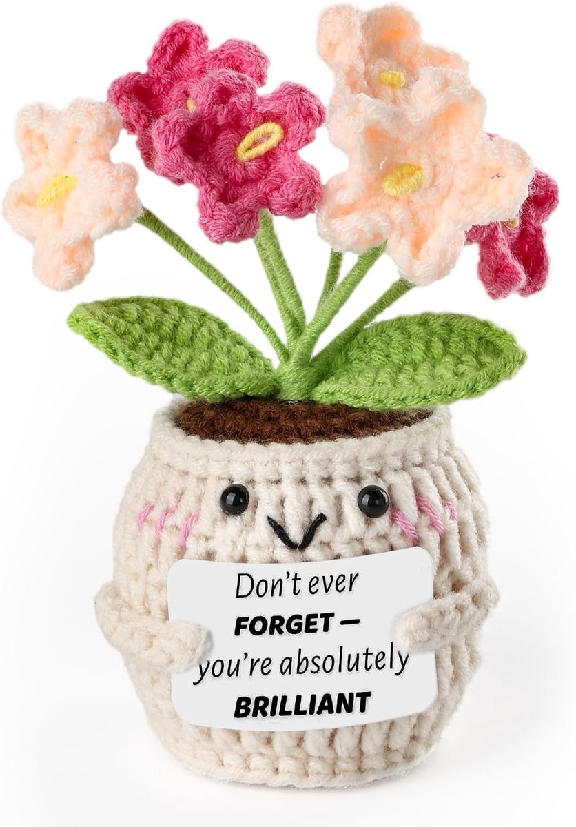 Handgemaakte Haakbloemen in Witte Pot | Vergeet-mij-niet Bloem met Kaart, Duurzame Decoratie en Persoonlijk Cadeau voor Vrienden, Familie en Collega's