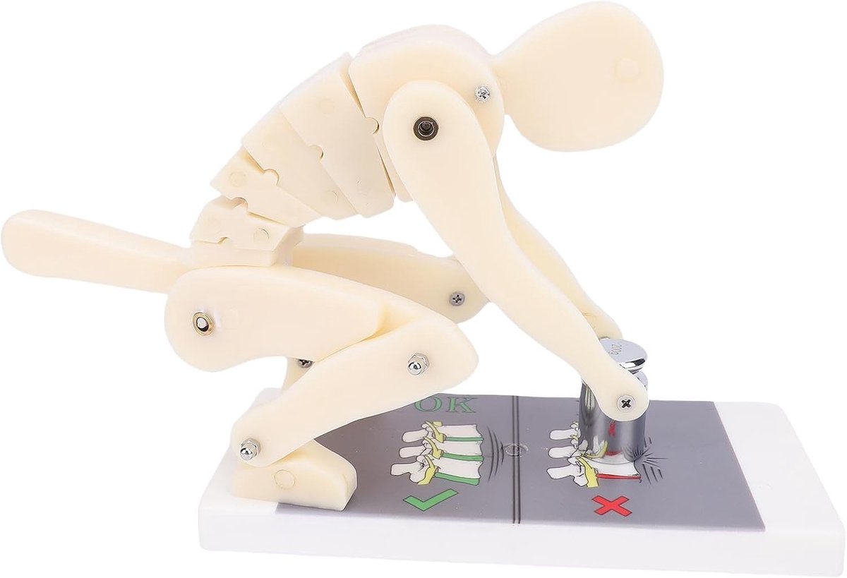 SnelShoppen - Gewichtheffen Wervelkolom Model ABS Flexibel Demonstratiemodel Voor Gym Met Stevige Slijtvast Materiaal Voor Onderwijs Biomechanica Anal