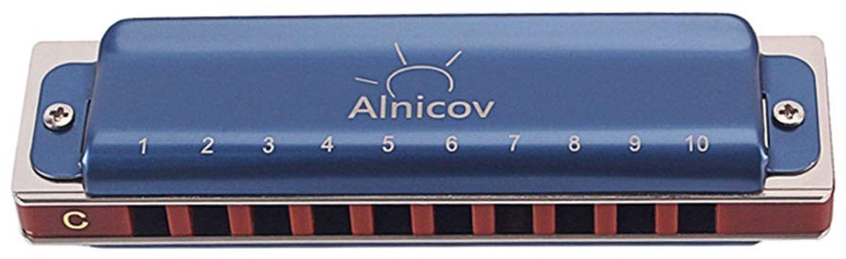 Dailygoods- Mondharmonica C - Diatonisch 10-gaats - Inclusief Koffer - Reinigingsdoekje - Geschikt voor Volwassenen/Kinderen - Compact Ontwerp 102x27,3x19,5mm - Harmonica