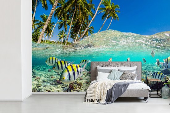 Behang - Fotobehang Strand - Vissen - Kleuren - Breedte 420 cm x hoogte 280 cm