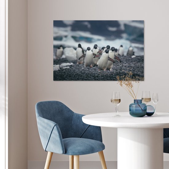 Adelie pingouins sur la plage poster papier 90x60 cm - Tirage photo sur Poster (décoration murale salon / chambre) / Poster Animaux sauvages