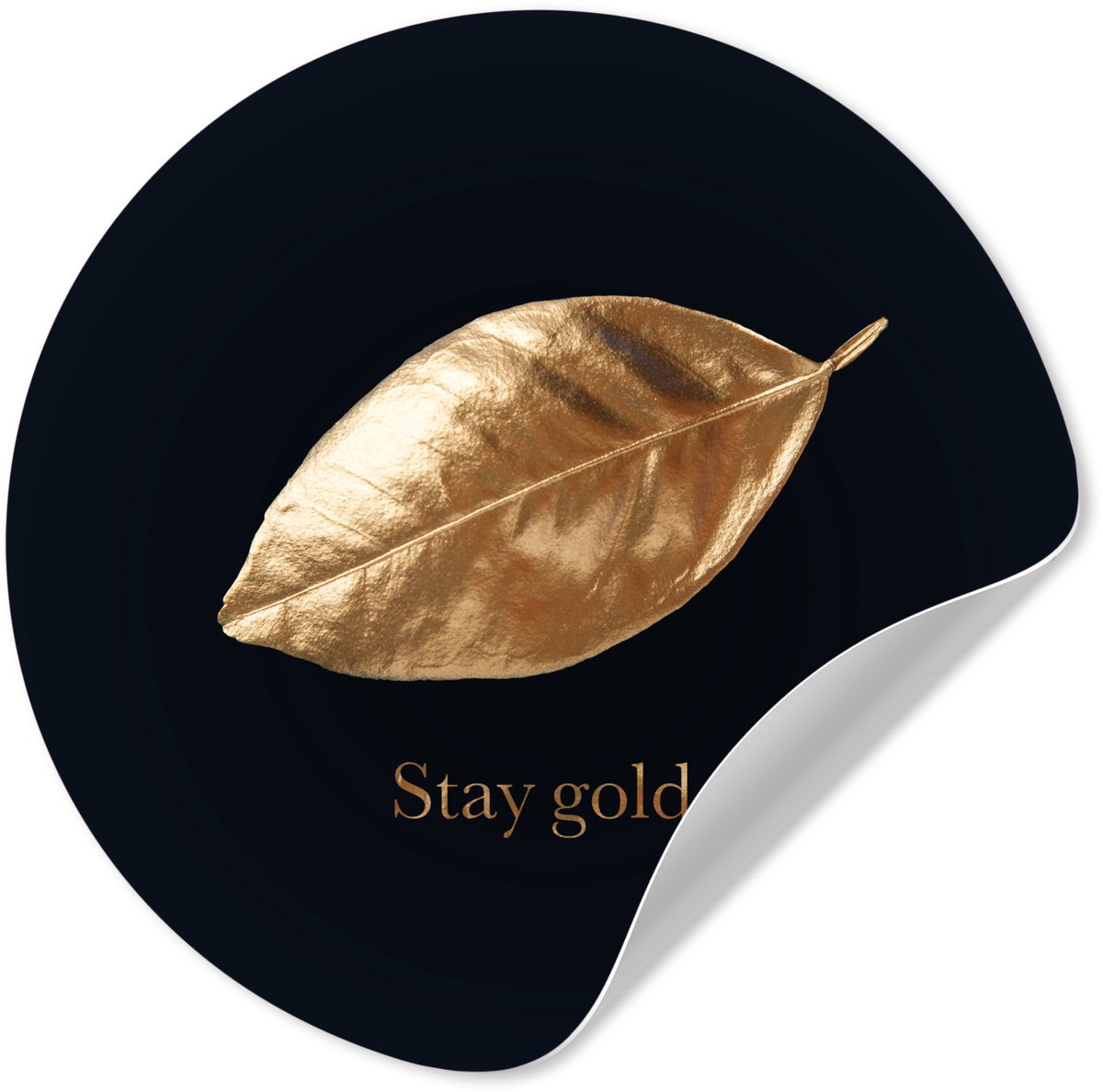 WallCircle Behangcirkel 30x30 cm - Muurstickers Blad - Gold - Quotes - Muurcirkel woonkamer - Wandcirkel slaapkamer - Kamer decoratie zelfklevend - Muurdecoratie accessoires multicolor