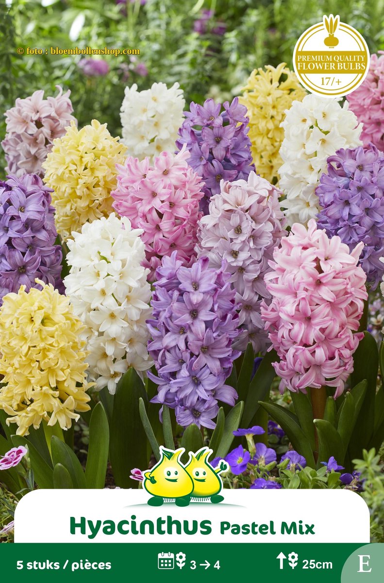 2 Zakjes Hyacinten Pastel Mix maat 17/+