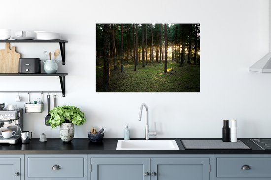 Sticker Muursticker Forêt - Soleil qui brille à travers les arbres de la forêt - 90x60 cm - feuille autocollante - sticker mural repositionnable
