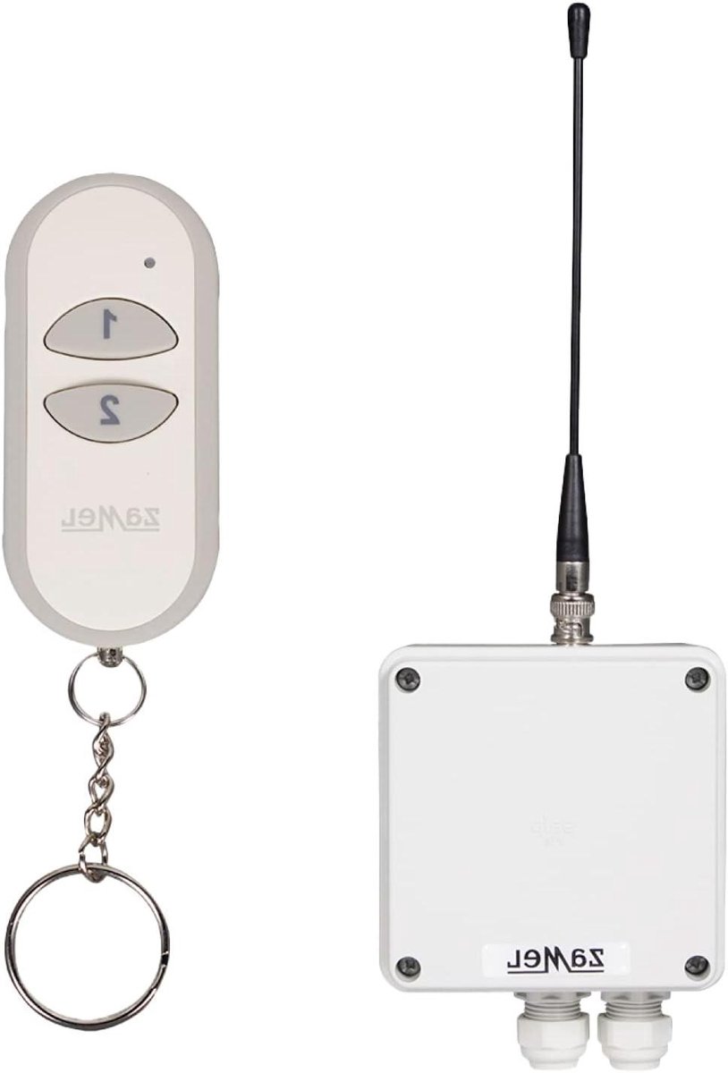 Draadloze Schakelaar - Afstandsbediening Set - Apparaten Bediening - 1 Kanaal Radiofrequentie - 30 x 19 x 6 cm - Grijs