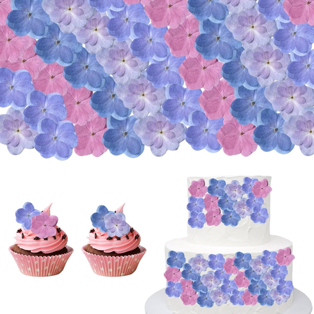 SnelShoppen - 60 Stuks Decoratieve Gedroogde Bloemen, Dubbelbloemige Hortensia's in 4 Kleuren, Natuurlijke Bloemen voor Taartdecoratie, Cupcakes, Brui