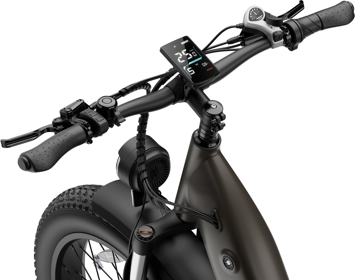 FAFREES F26 Rover Full-Size All-Terrain E-Bike - Zwart thumbnail 2