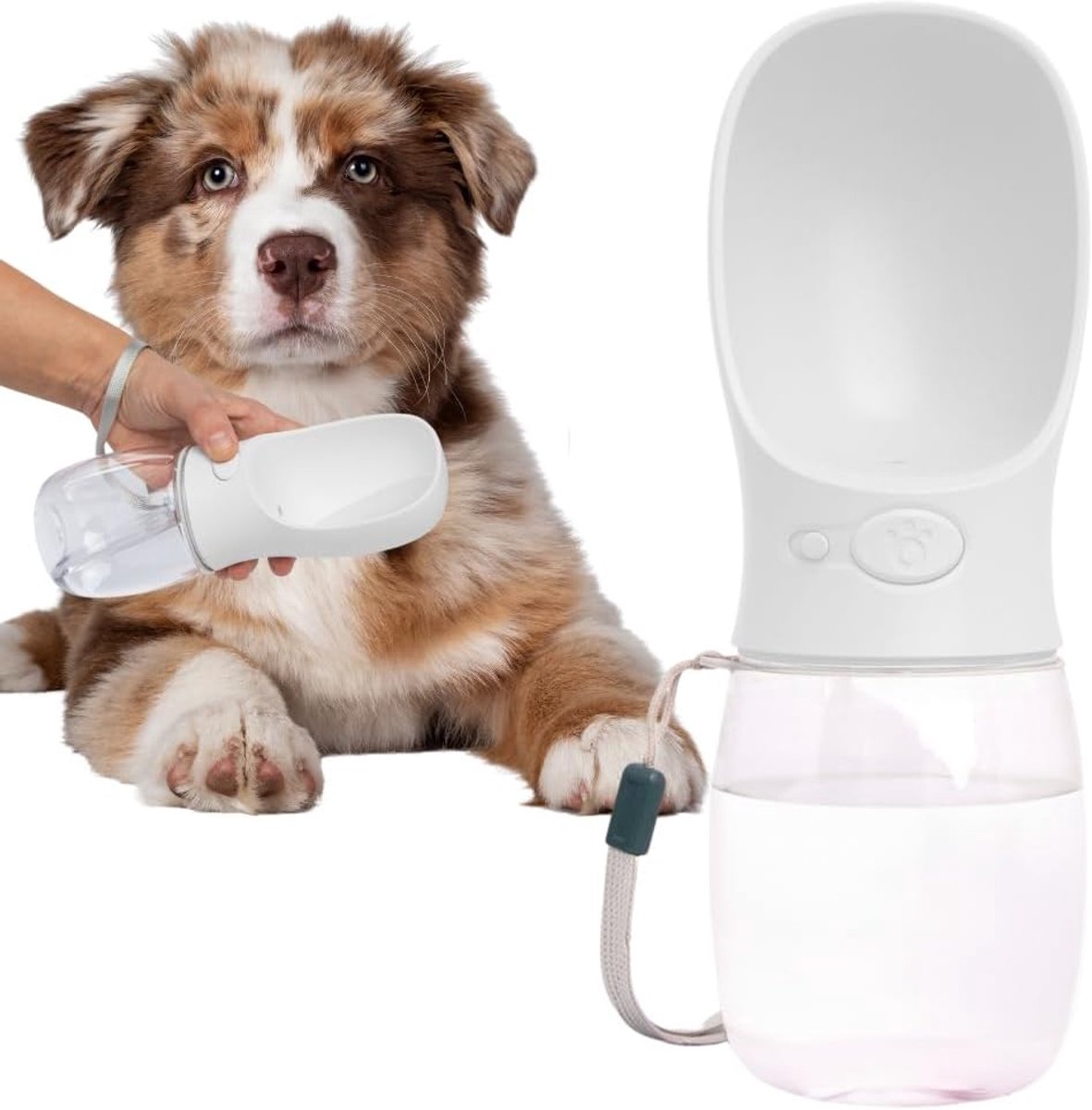 Drinkfles Hond - Honden Waterfles - Drinkfles Honden Onderweg - Waterfles Hond - Honden Drinkfles (Wit, 350ml)