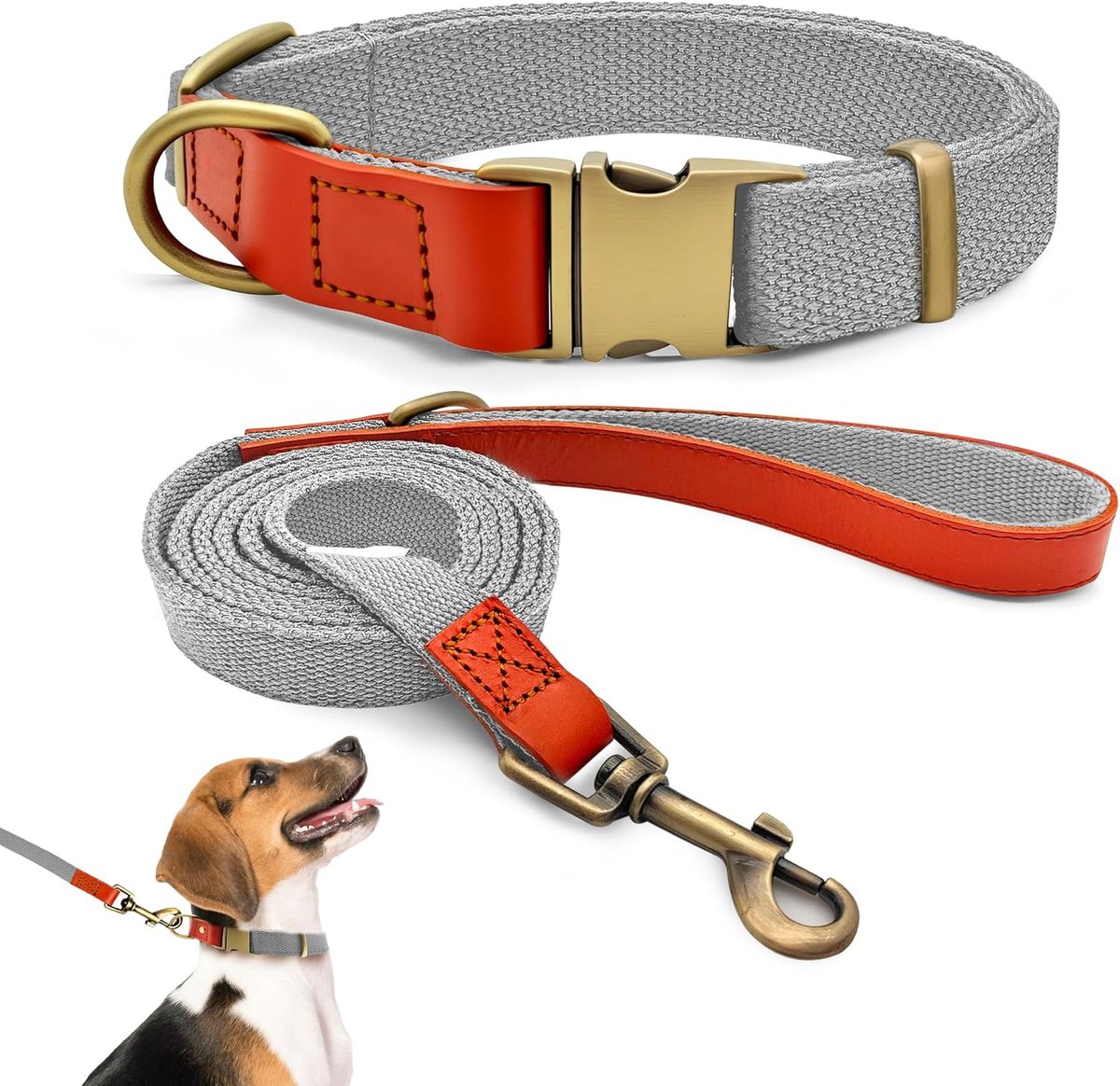 Set van halsband en riem M 32–50 cm, leer met nylon (zilvergrijs) | Riem 152 cm, vintage metalen gesp, 360° draaibaar, voor middelgrote honden, geschikt voor wandelingen en training
