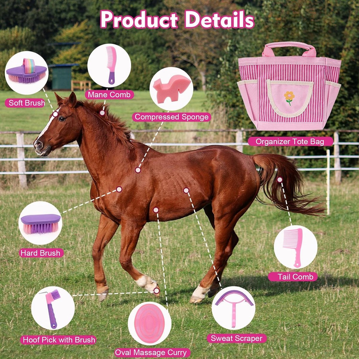Reinigingsgereedschap voor paarden, poetsdoos met 9-delige paardenborstelaccessoires, staartkam, vlecht- en stoppen, lasmessen, doucheborstels, hoefkrabber