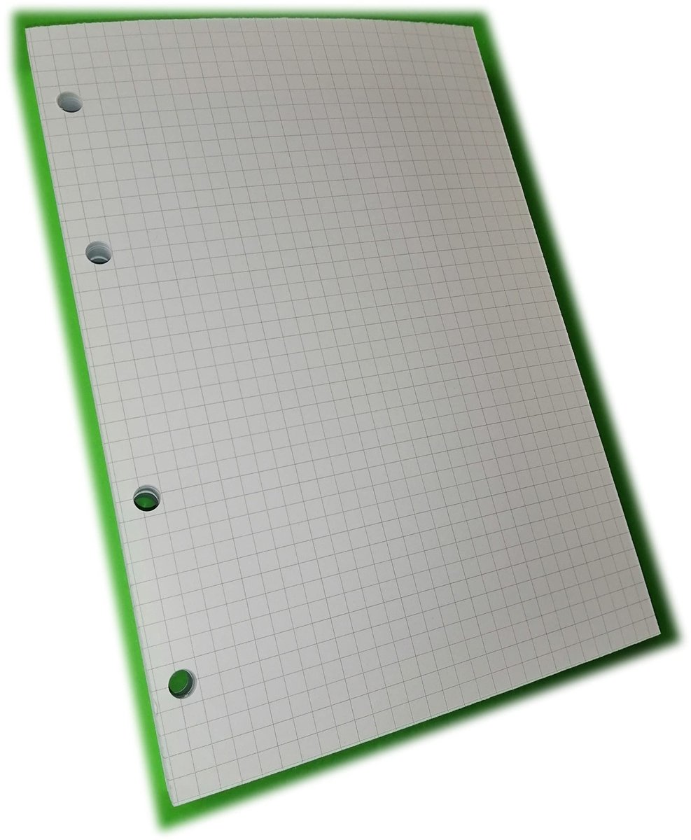 SnelShoppen - 100 Vellen A5 4-Gats Papier 120 g/m² - 200 Pagina's Ruitjes 5 mm - Perfect voor Ordners met 4 Ringen - Ideaal voor School, Kantoor en No