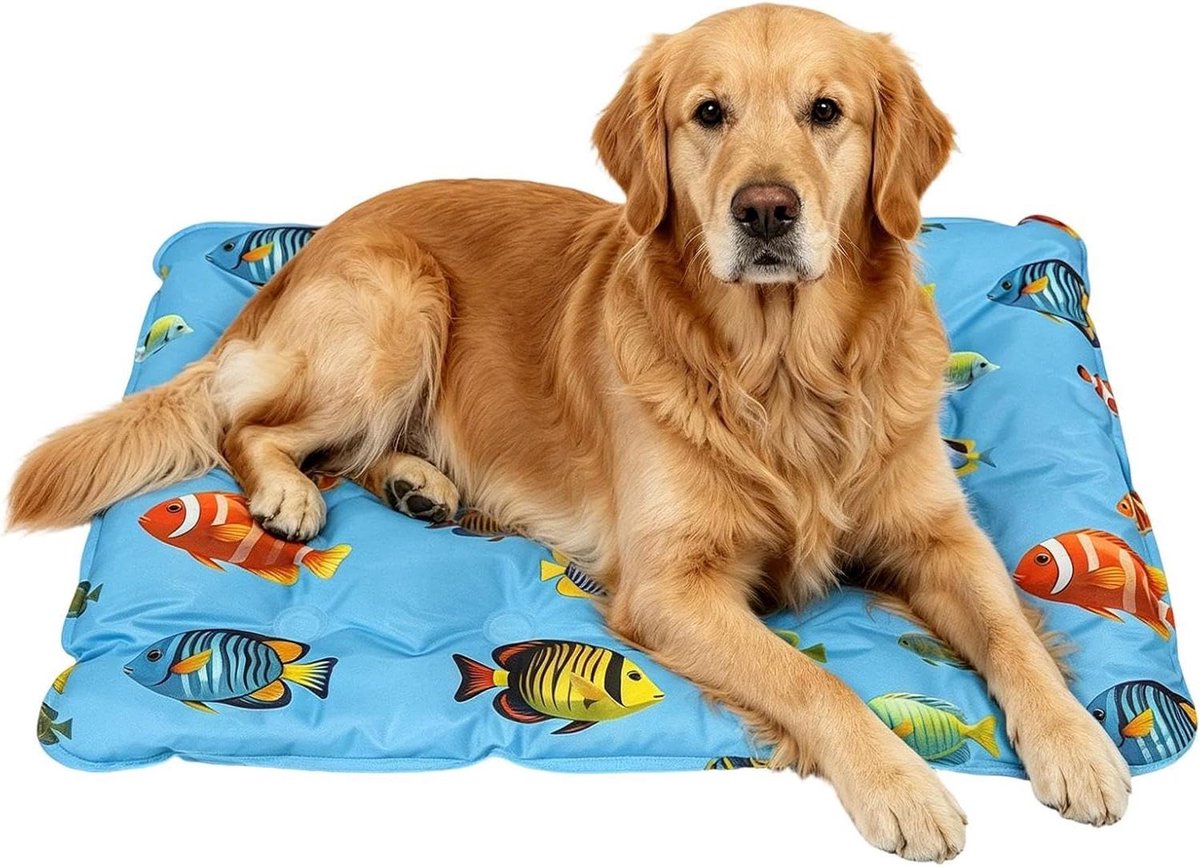 Hondenkoelmat - Koelmat Huisdier - Huisdieren Koelen - Waterdicht Ademend PVC - 50x60 cm - Blauw