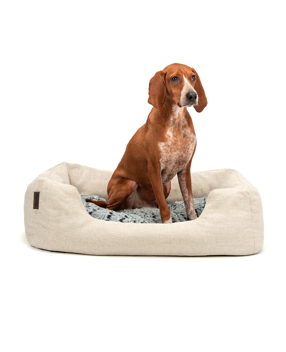 lionto comfort hondenmand, zacht, antislip & onderhoudsvriendelijk, 80x60 cm beige