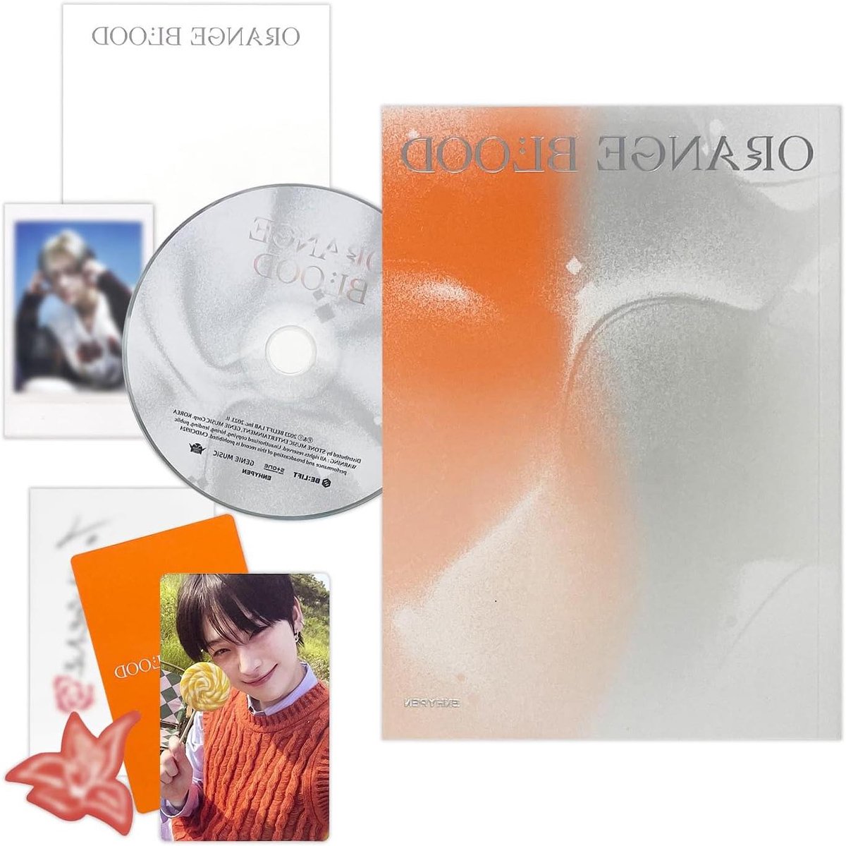 Muziek Album Set - Fan Box Cadeau Set - Verzamelen Muziek - Inclusief Extra's - 1821 x 13 cm