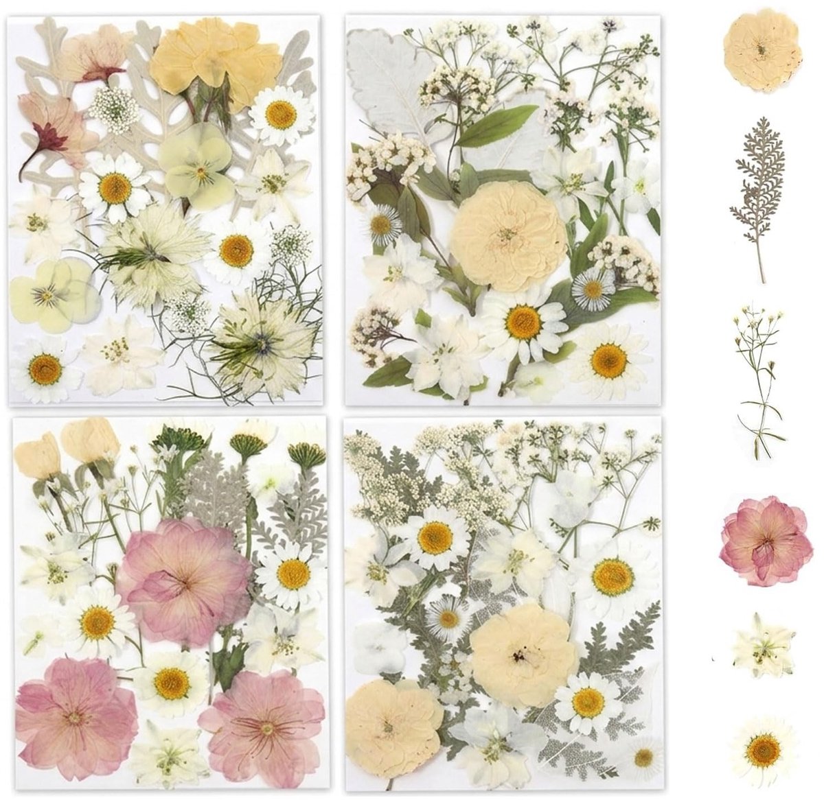 SolidKeus - 80 Stuks Gedroogde Bloemen voor Creatieve Projecten