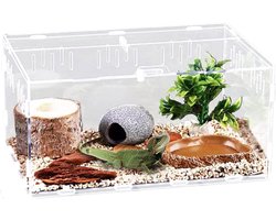 Boîte d'alimentation en acrylique transparent, 30 x 20 x 15 cm pour araignées, geckos, lézards, scorpions, serpents des blés, cobayes
