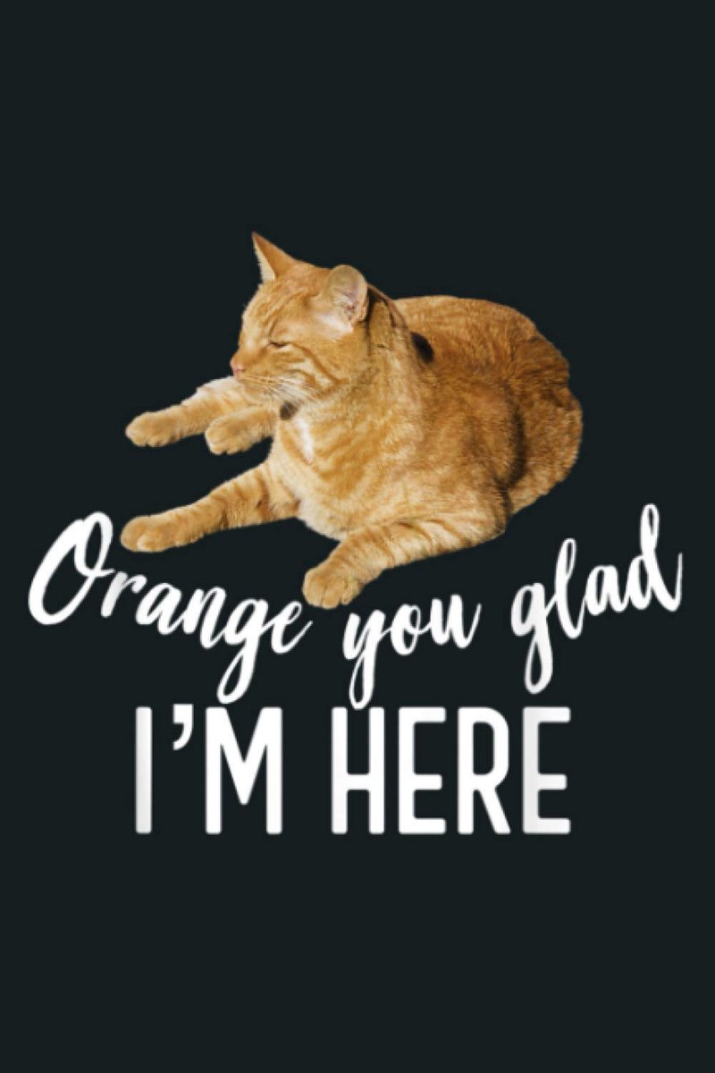 You Glad I M Here Tabby Cat Lover Graphic: Notebook Planner -6x9 inch Daily Planner Journal, To Do List Notebook, Daily Organizer, 114 Pages