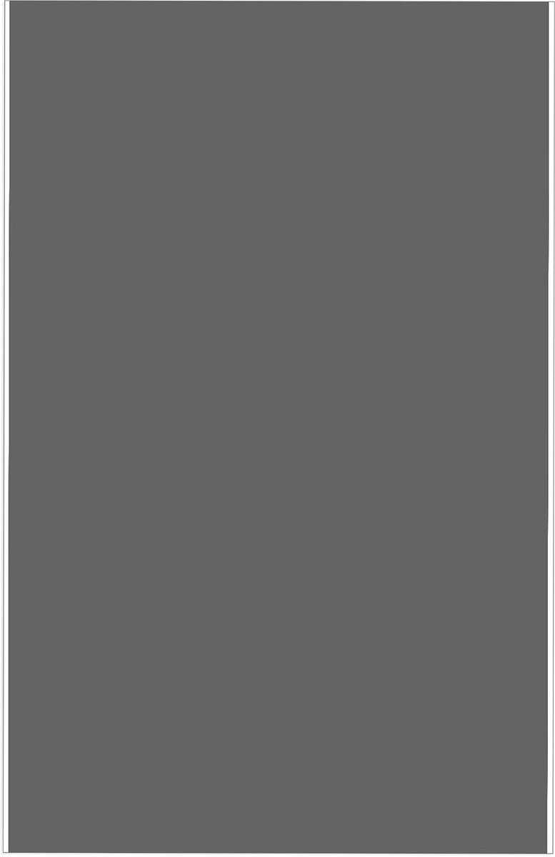 1 stuk nylon reparatiepleister zelfklevende patch, 20 x 15 cm, donsjack-patches van nylon, reparatiepatches zelfklevende patch, waterdicht voor jassen, tenten, bovenkleding, lichtgrijs