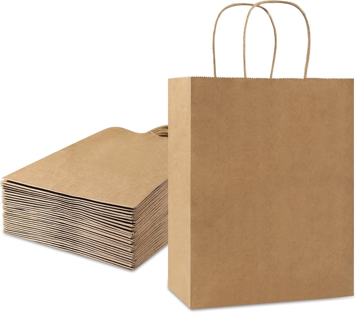 Geschenkzakjes met handvat, 24 stuks, 15 x 8 x 21 cm