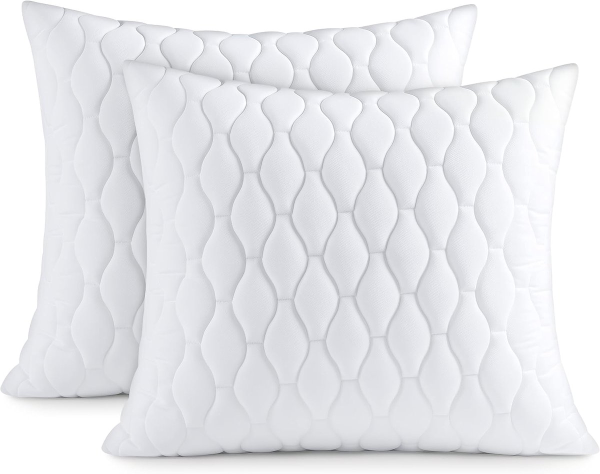 Kussens 65×65, set van 2, wit | Polyestervulling voor bank en bed, gewatteerd design, onderhoudsvriendelijk