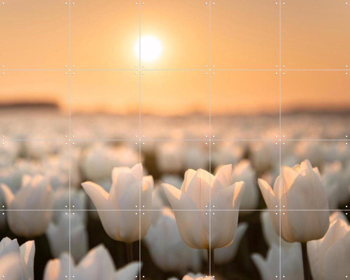IXXI Tulip Dreams, Claire Droppert - 100 x 80 cm - Gratis ophangtool - Grote wanddecoratie en posters - Fotografie, Gang, Studeerkamer, Woonkamer