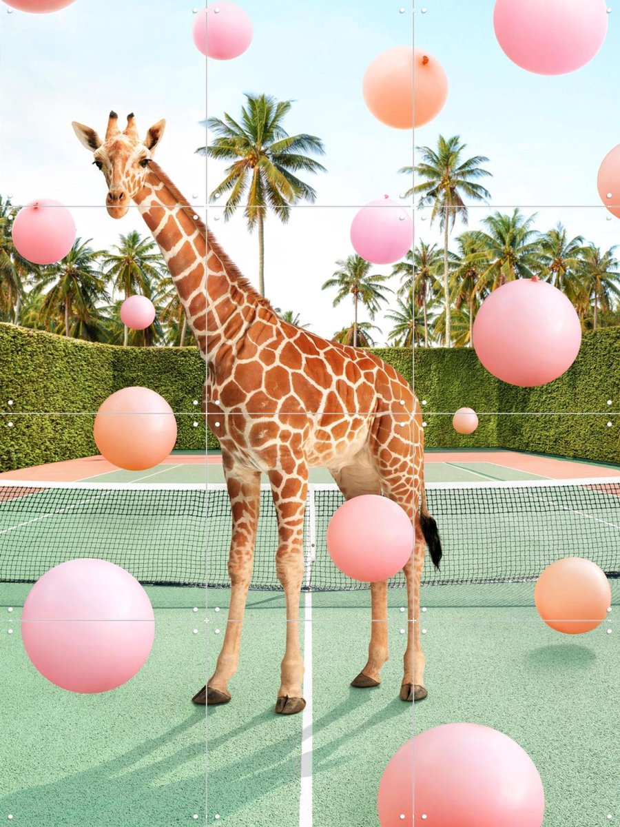 IXXI Tennis Giraffe, Paul Fuentes - 60 x 80 cm - Gratis ophangtool - Grote wanddecoratie en posters - Speels, Digitale Kunst, Kinderkamer, Dieren