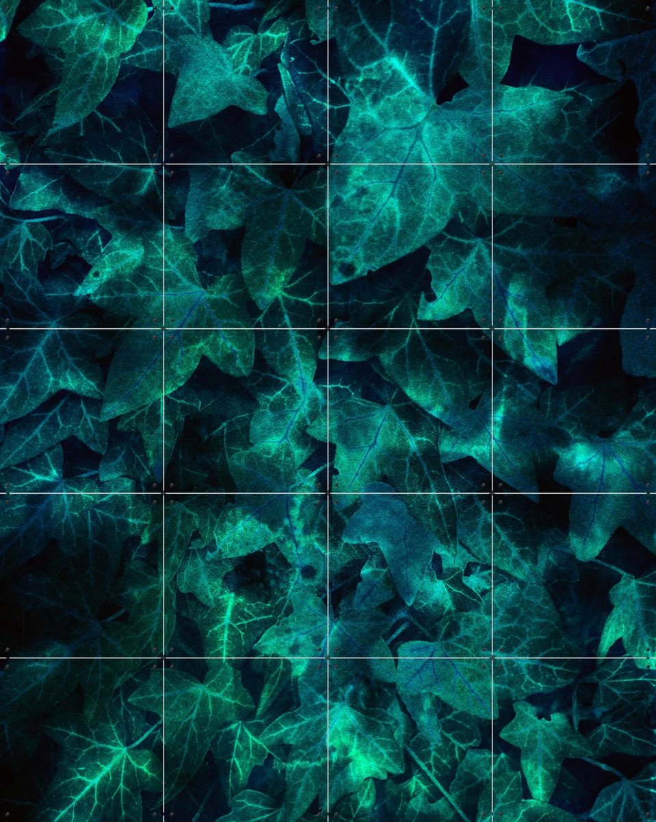 IXXI Ivy Teal, Angelo Cerantola - 80 x 100 cm - Gratis ophangtool - Grote wanddecoratie en posters - Modern, Minimalisme, Digitale Kunst, Abstract