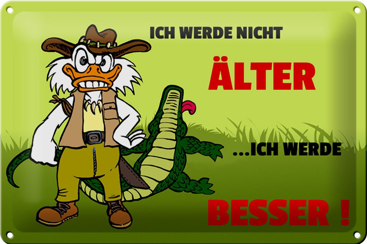 Blechschild Spruch 30x20cm Werde nicht älter werde besser