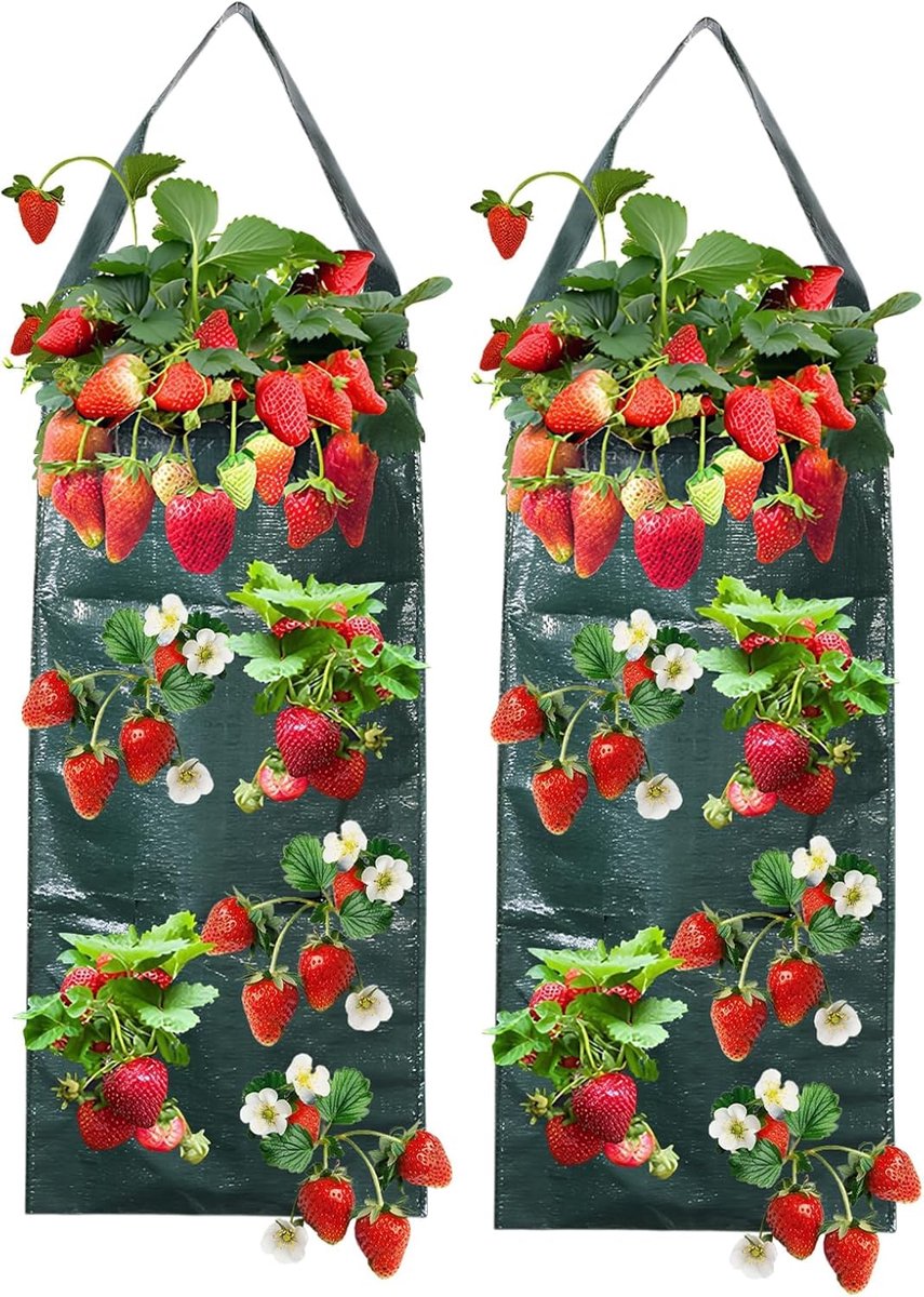 Zakken, hangende plantenzakken, hangende aardbeien, plantenzakken voor buiten, plantenzakken om op te hangen, met 8 gaten, geschikt voor aardbeien, tomaten en