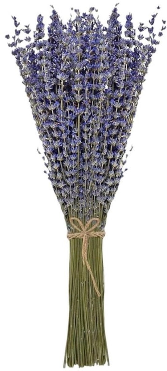 Lavender Secched Bundle 100 Stelen - Gedroogde Lavendel voor Decoratie