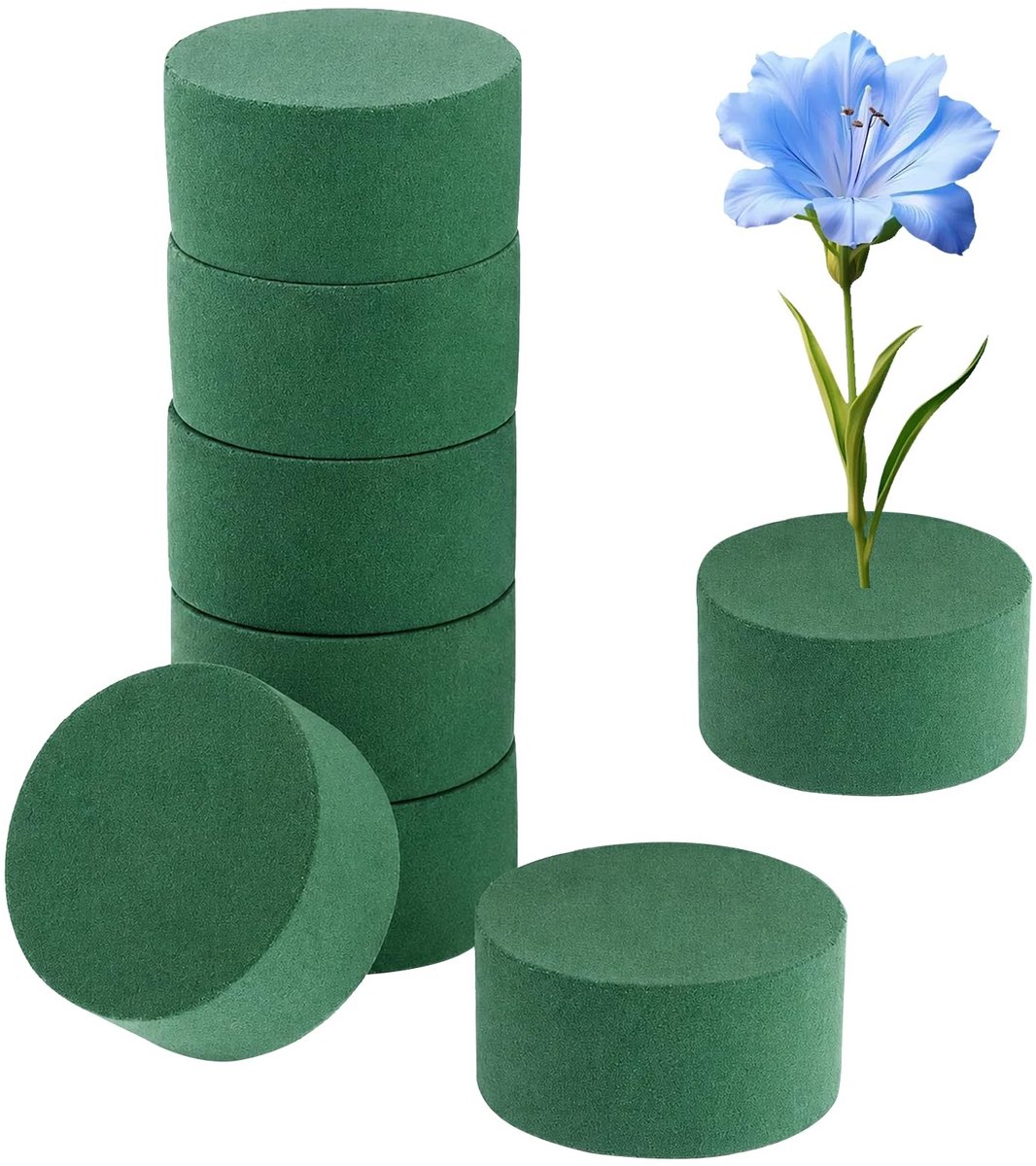 Solidchoice - Set van 8 Steekschuim voor Bloemstukken
