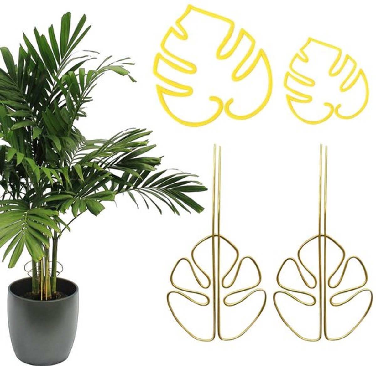 Plantenhouder Gouden Legering - Plantensteun - Kunststof Plank - Groeihulp - 2 Stuks - Verstelbare Afmetingen