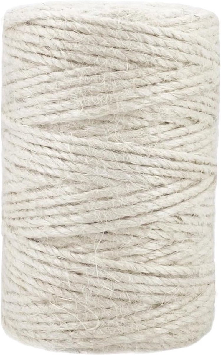 2.5mm Dik Wit Jute Touw - 328 Voeten - Heavy Duty Natuurlijk Craft Touw - Thuis Tuinieren - Plant Foto Hanger - Gekleurd Jute Touw - Geschenken Presenteert - Mason Potten - Bruiloft