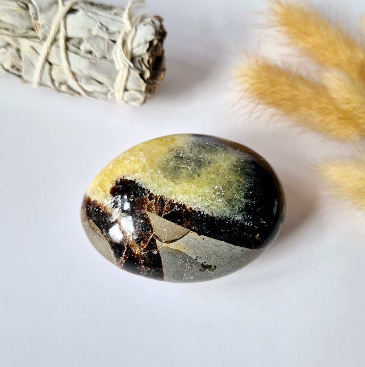 Septarian Palmstone - Handsteen voor ontspanning en rust - Worry Stone zorgensteen Draken-ei Steen