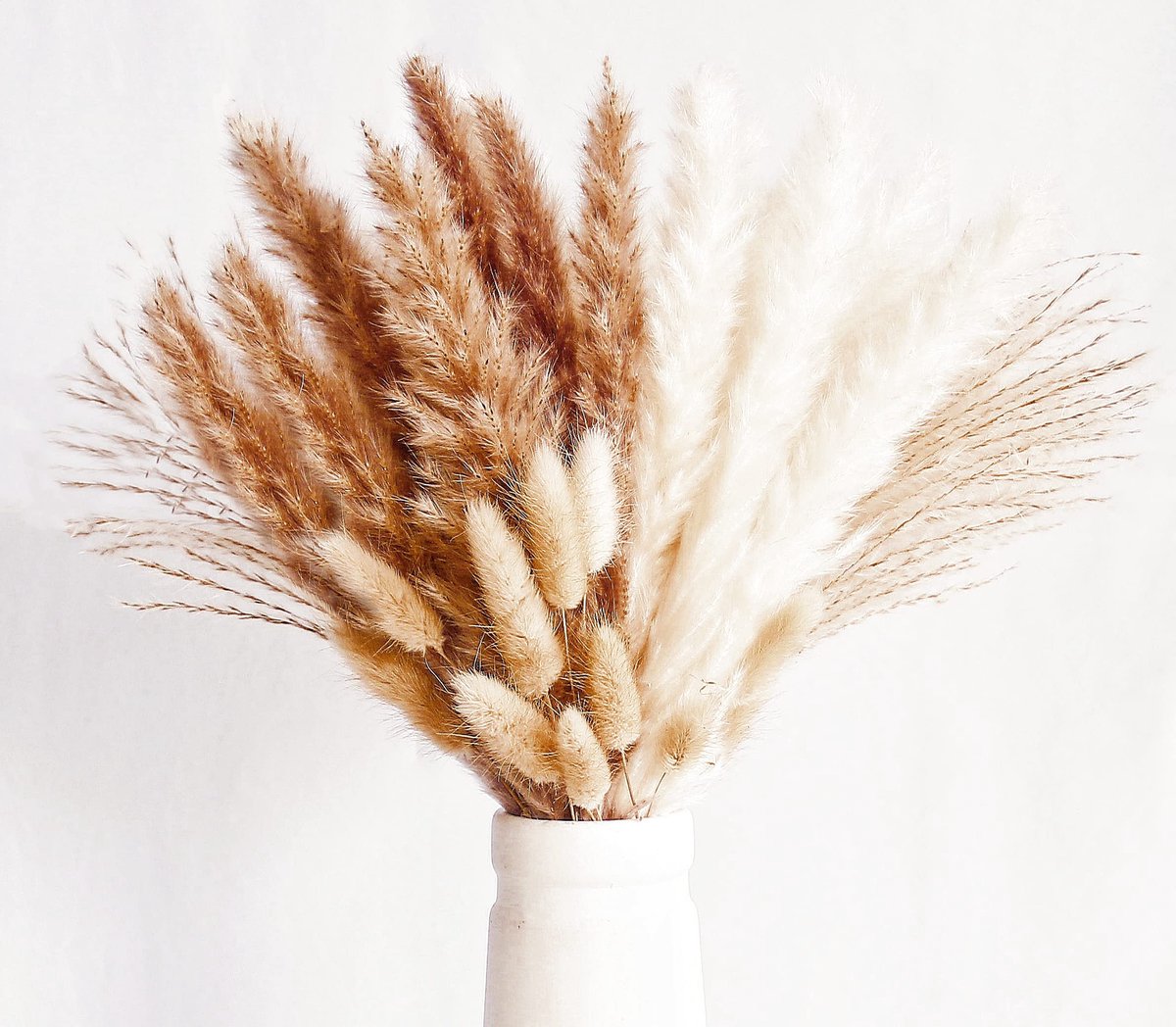 Droogbloemen boeketten 70 stuks - natuurlijke pampasgras - boho-decoratie - ideaal voor sfeervolle inrichting - ShopVlot