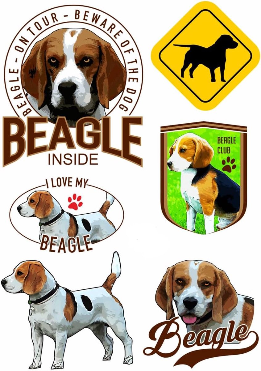 Sticker set beagle hondenliefhebbers - 6-delig vinyl - gemakkelijk aan te brengen - ideaal voor auto en laptop - ShopVlot
