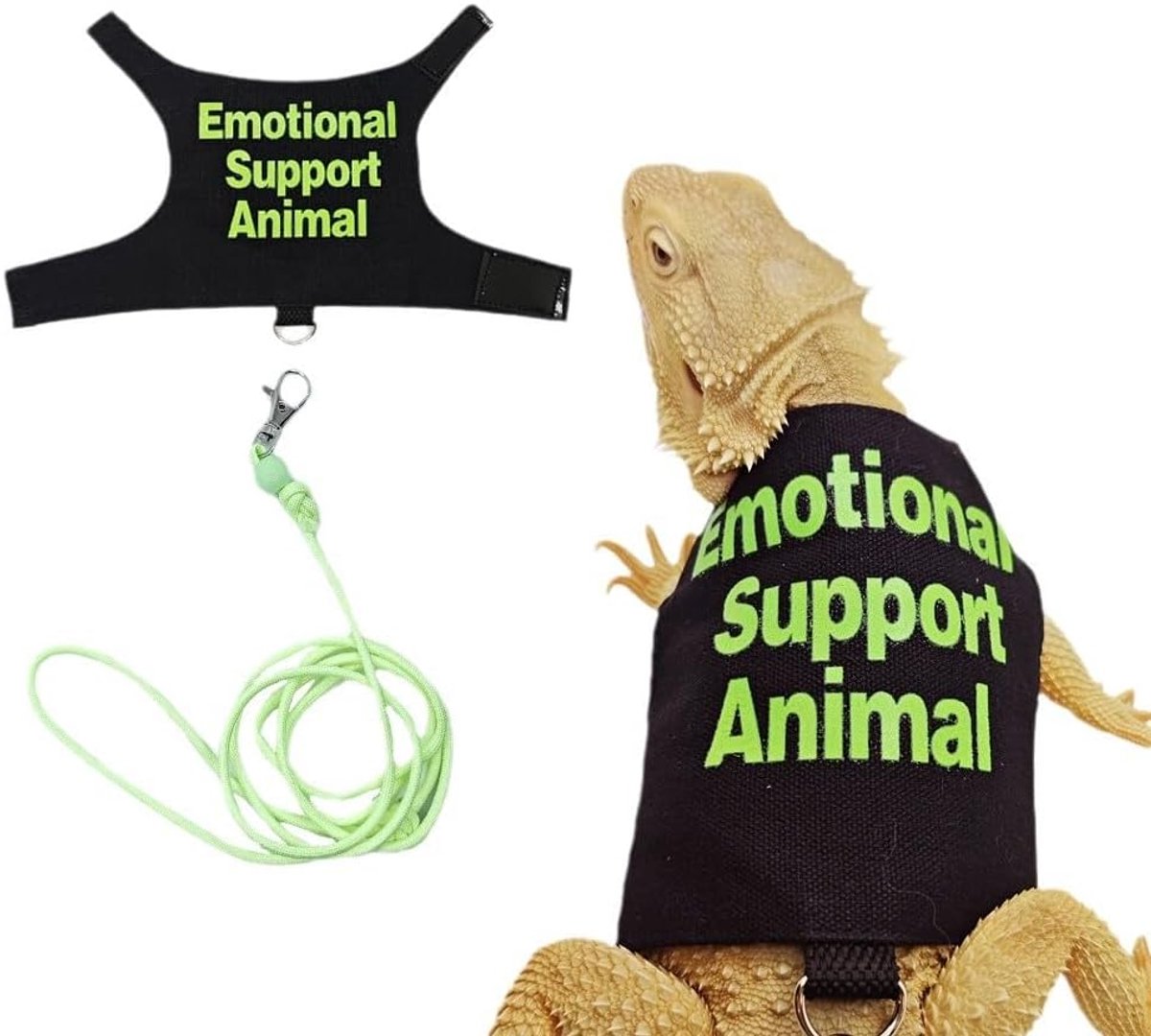 Harnas en Leash Set voor Baardagame - Verstelbaar - Zacht Canvas - Comfortabel voor Buitenwandeling - ShopVlot