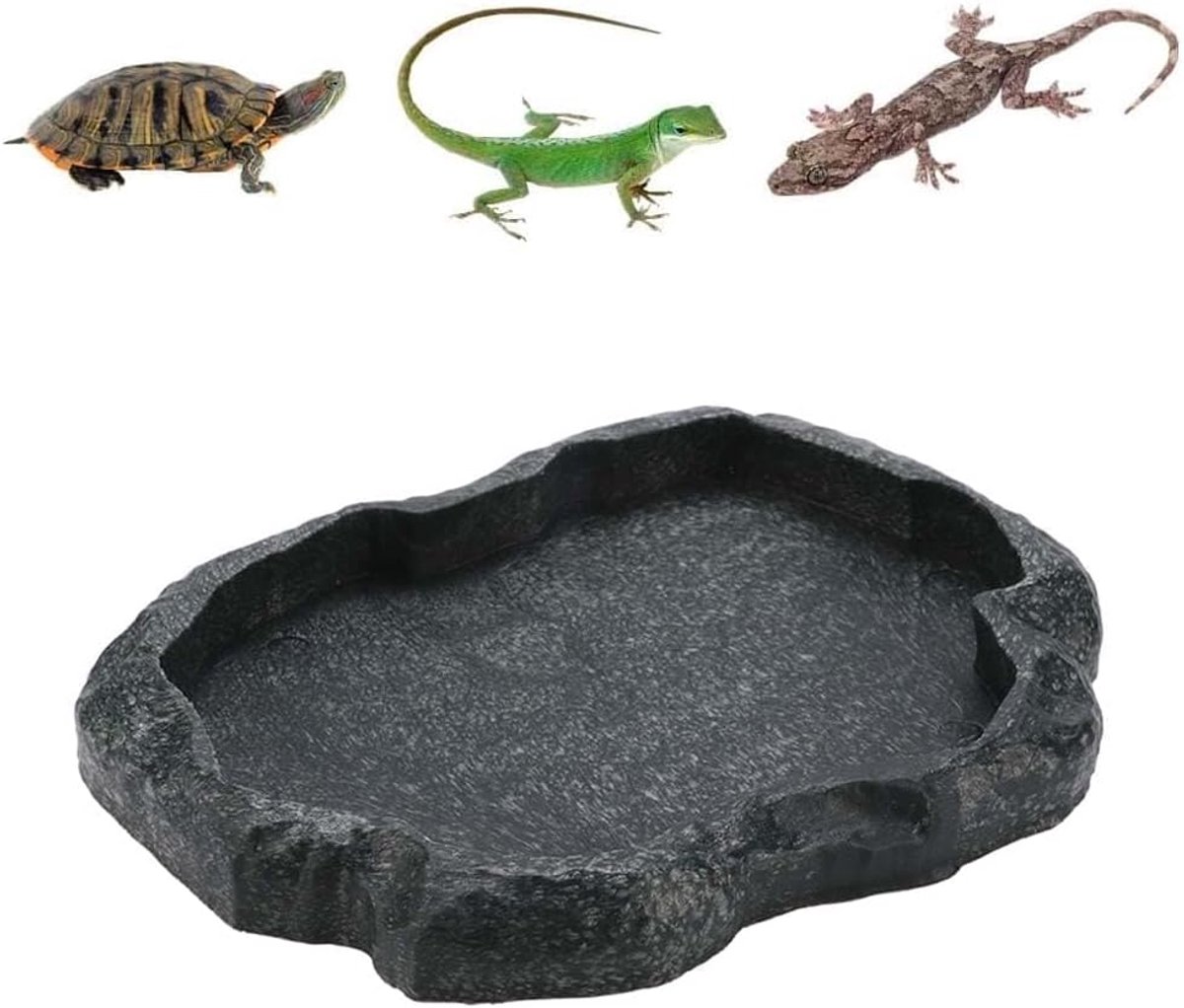 Rock Food Water Dish Voedsel Kom Feeder Duurzaam Huisdier Feeder Schotel Voor Schildpad Hagedis Gecko Schorpioen kameleons (M-groen)