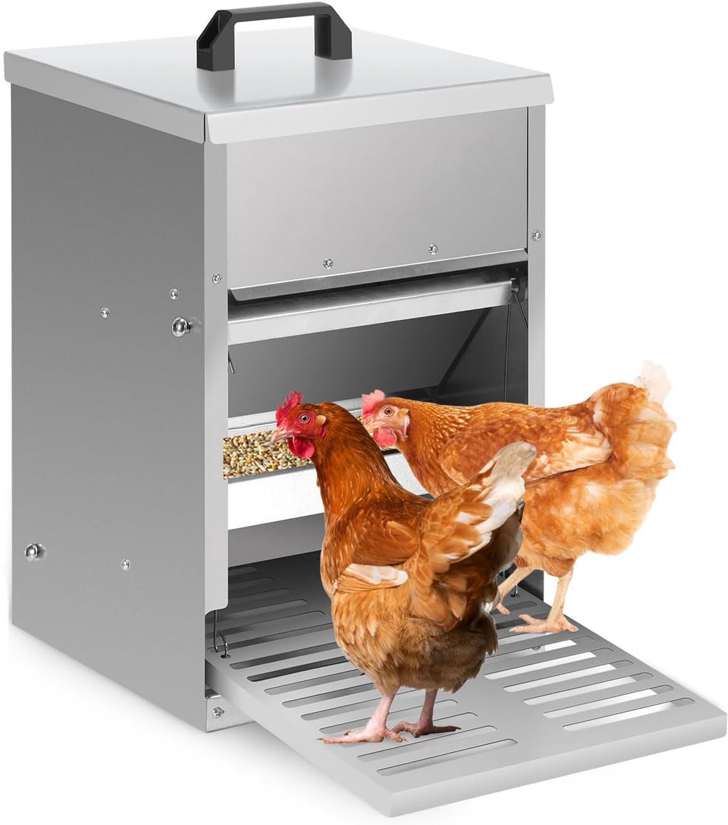 Voederautomaat voor kippen met trapplaat, deksel, 5kg verzinkt, waterdicht, rattenveilig voederbak, voederdispenser, ideaal accessoire