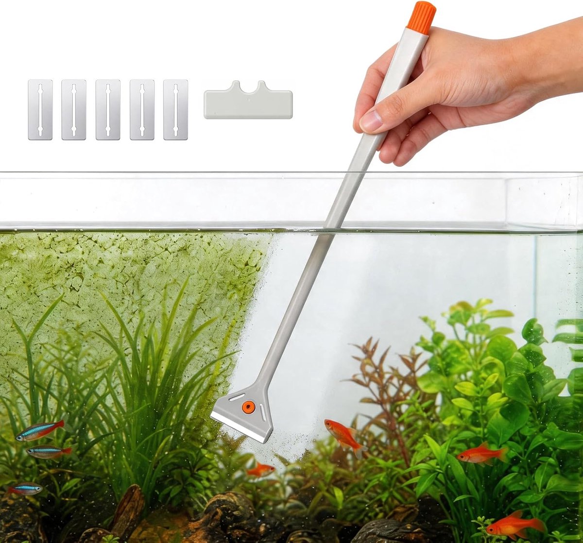 Aquarium raamreiniger - 2-in-1 functie - inclusief borstel - voor het verwijderen van algen - ShopVlot