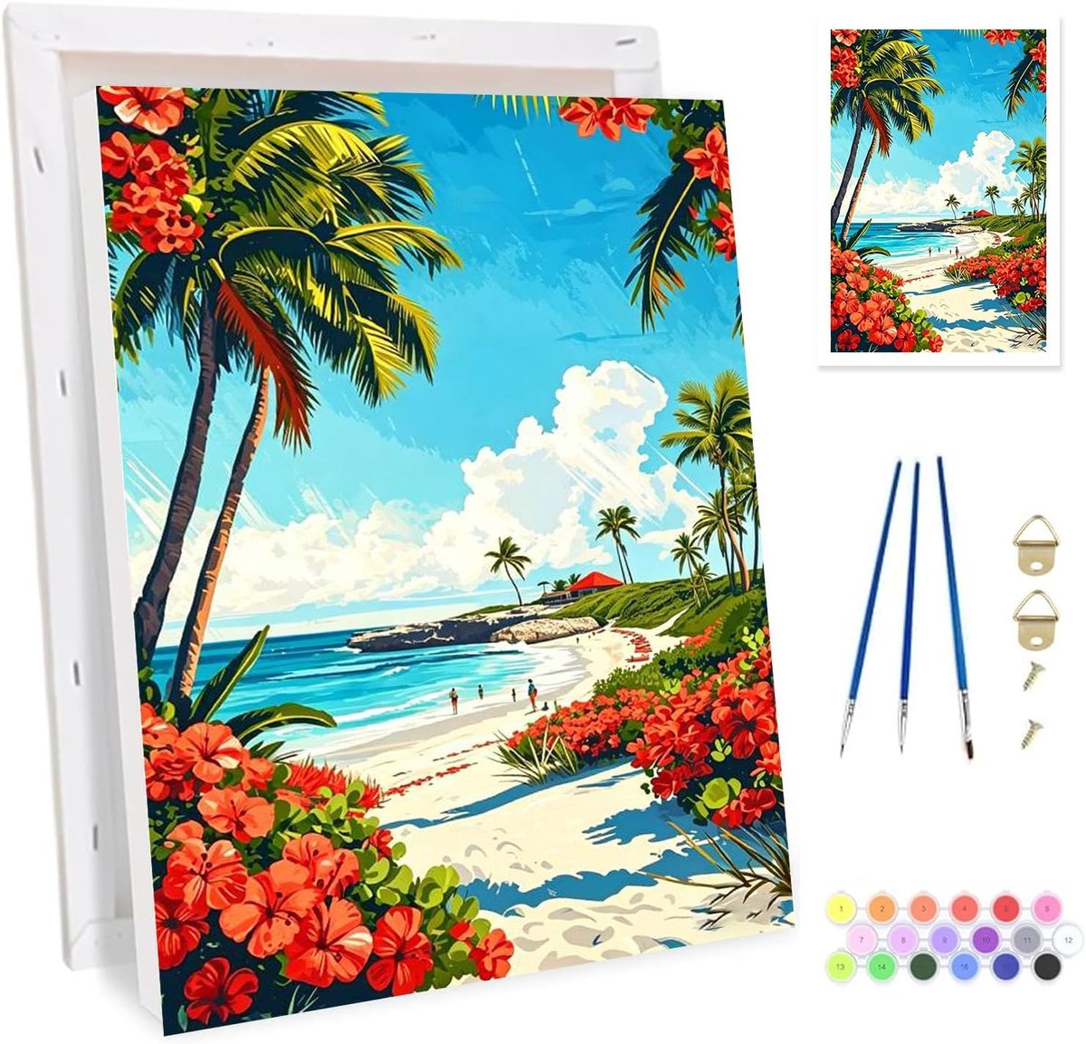 Schilderen op nummer volwassenen 20 x 30 cm - acrylschilderset met frame - creatief knutselwerk - ShopVlot