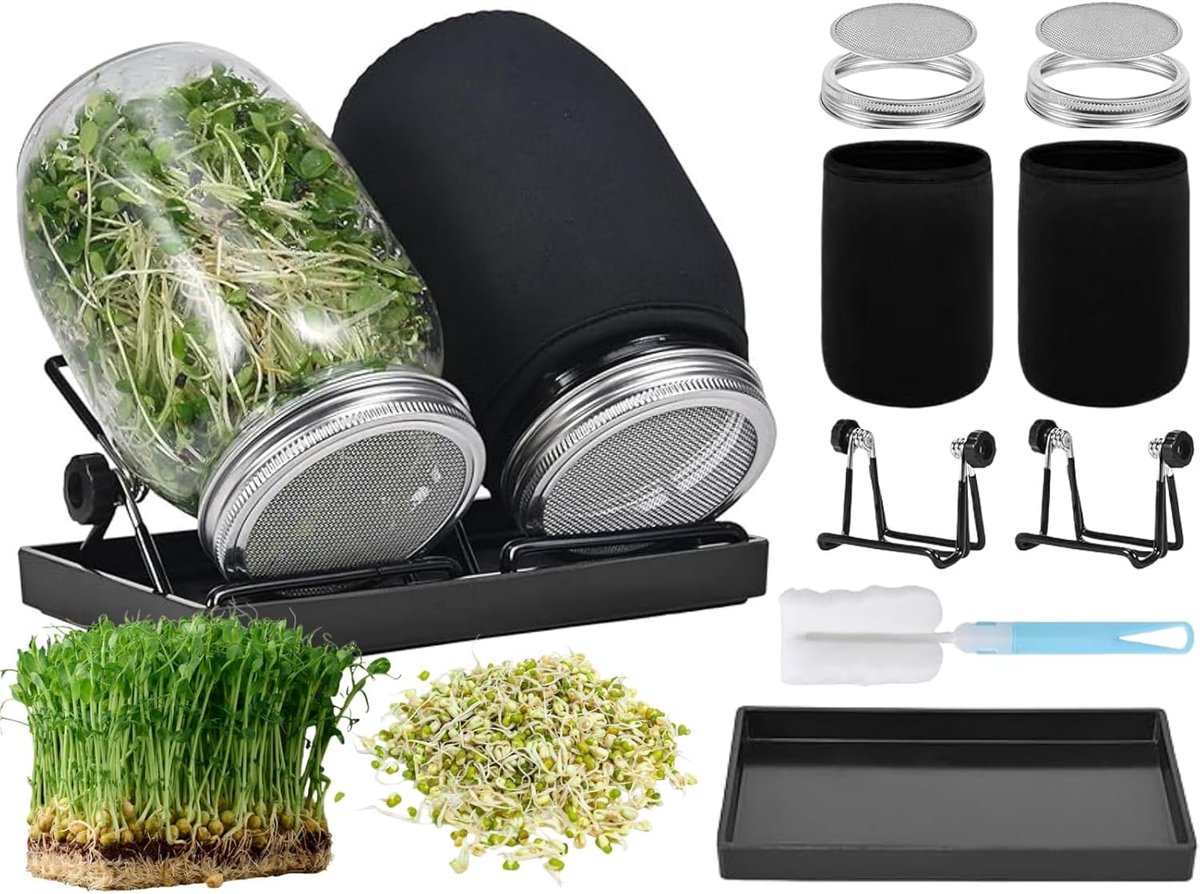 Kiempot Van Glas Voor Zaden, Dubbele Kiempot Set (8 Stuks) Met Lekbak En Roestvrijstalen Houders, Geschikt Voor Binnen Gebruik